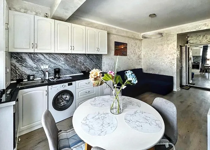 Black Sea - D24 Si Uzina De Pizza